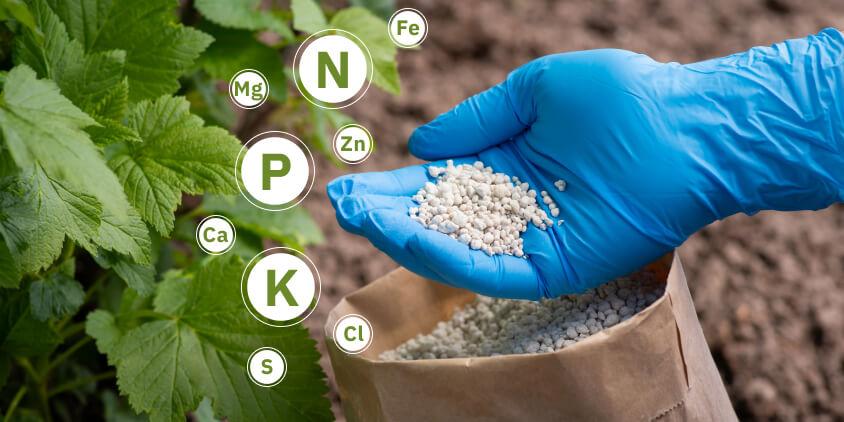 FERTILIZERS